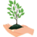No. of Trees Planted
